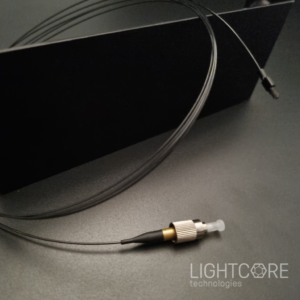 Fiber for Mini2P Broadband, hollow core fiber and output collimator, for Mini2P typed imaging system and neuronal activity imaging