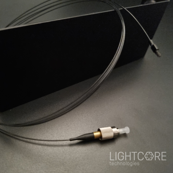 Broadband, hollow core fiber and output collimator, for Mini2P typed imaging system and neuronal activity imaging