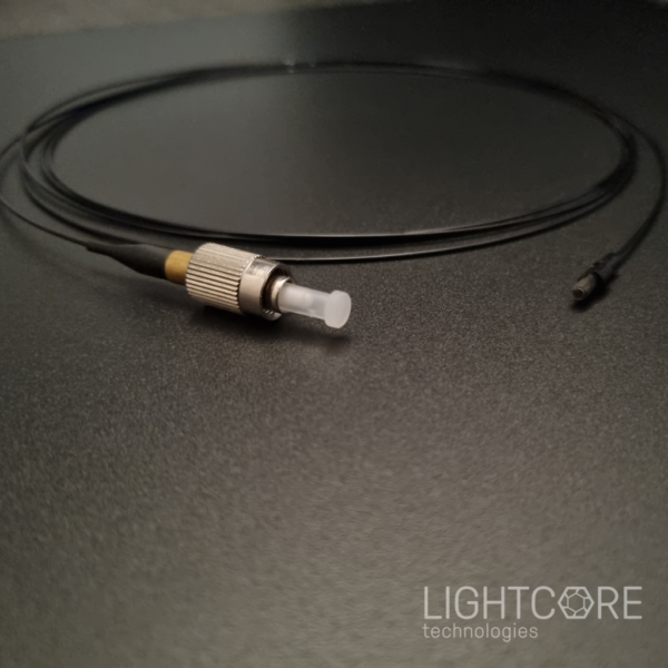 Broadband, hollow core fiber and output collimator, for Mini2P typed imaging system and neuronal activity imaging