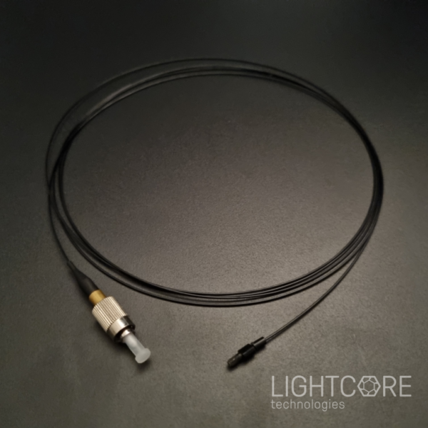 Broadband, hollow core fiber and output collimator, for Mini2P typed imaging system and neuronal activity imaging