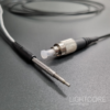 Endoscope probe InSplorer multiphoton flexible micro-endoscope