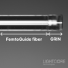FemtoGuide broadband, low loss, low dispersion hollow core fiber for short and intense pulse delivery. GRIN distal functionalization for endpoint focussing.