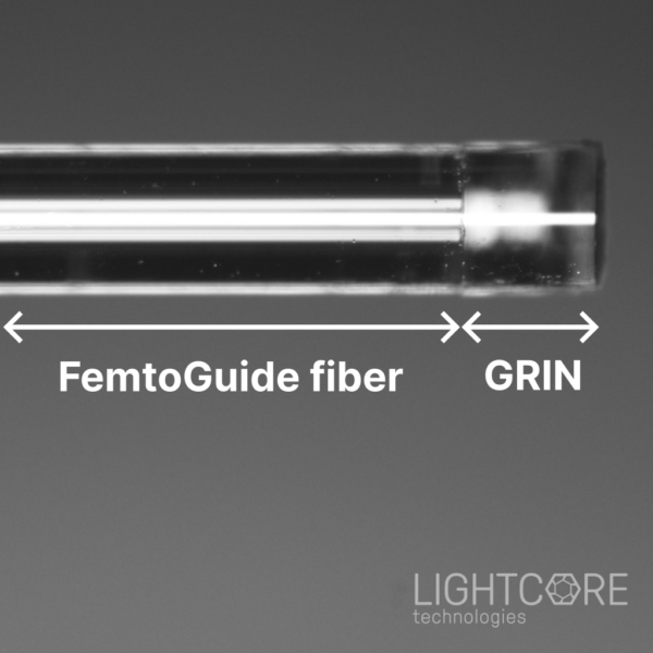 FemtoGuide broadband, low loss, low dispersion hollow core fiber for short and intense pulse delivery. GRIN distal functionalization for endpoint focussing.