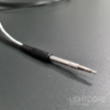 InSplorer multiphoton flexible micro-endoscope
