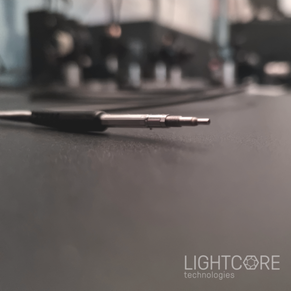 InSplorer multiphoton flexible micro-endoscope