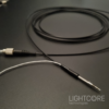 InSplorer multiphoton flexible micro-endoscope