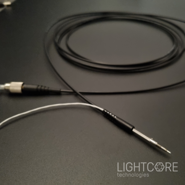 InSplorer multiphoton flexible micro-endoscope